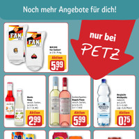 REWE Prospekt Seite 17