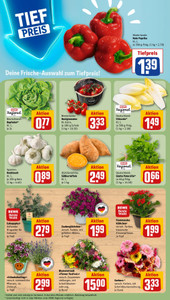REWE Prospekt - Angebote ab 08.06.