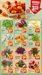 REWE Prospekt - Angebote ab 08.06.