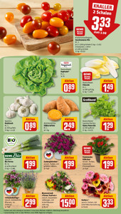 REWE Prospekt - Angebote ab 08.06.
