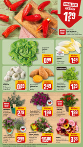 REWE Prospekt - Angebote ab 08.06.