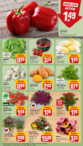 REWE Prospekt - Angebote ab 08.06.
