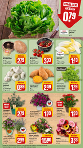 REWE Prospekt - Angebote ab 08.06.