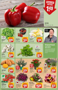 REWE Prospekt - Angebote ab 08.06.