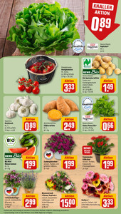 REWE Prospekt - Angebote ab 08.06.