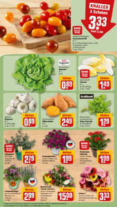 REWE Prospekt - Angebote ab 08.06.