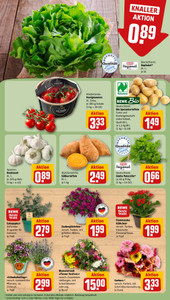 REWE Prospekt - Angebote ab 08.06.