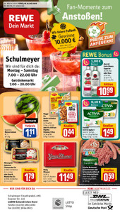 REWE Prospekt - Angebote ab 15.06. - Seite 1