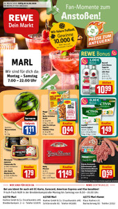 REWE Prospekt - Angebote ab 15.06.