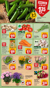 REWE Prospekt - Angebote ab 29.06.
