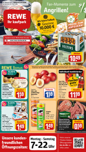 REWE Prospekt - Angebote ab 13.07.