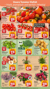 REWE Prospekt - Angebote ab 13.07.