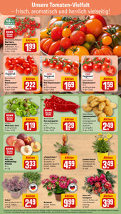 REWE Prospekt - Angebote ab 13.07.