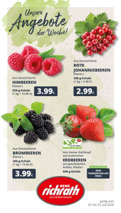 REWE Prospekt - Angebote ab 20.07.