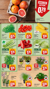 REWE Prospekt - Angebote ab 27.07.