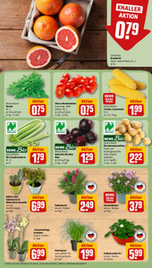 REWE Prospekt - Angebote ab 27.07.