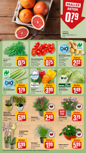 REWE Prospekt - Angebote ab 27.07.