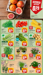 REWE Prospekt - Angebote ab 27.07.