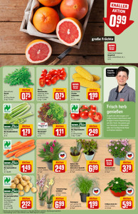 REWE Prospekt - Angebote ab 27.07.