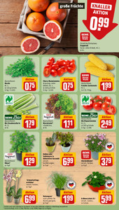 REWE Prospekt - Angebote ab 27.07.
