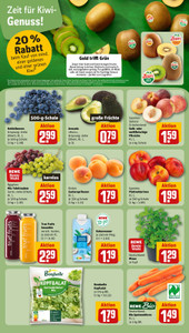 REWE Prospekt - Angebote ab 27.07.