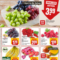REWE Prospekt Seite 8