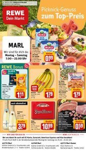 REWE Prospekt - Angebote ab 10.08.