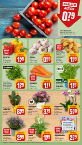 REWE Prospekt - Angebote ab 10.08.