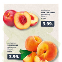 REWE Prospekt Seite 2