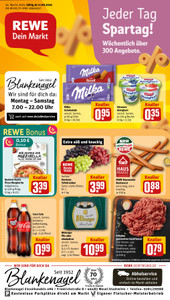 REWE Prospekt - Angebote ab 17.08.