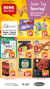 REWE Prospekt - Angebote ab 17.08.