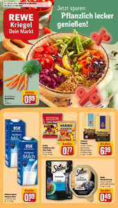 REWE Prospekt - Angebote ab 24.08.