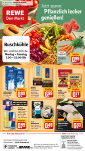 REWE Prospekt - Angebote ab 24.08.