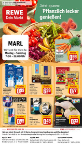 REWE Prospekt - Angebote ab 24.08. - Seite 1