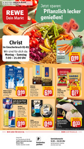 REWE Prospekt - Angebote ab 24.08.