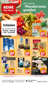 REWE Prospekt - Angebote ab 24.08.