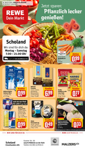 REWE Prospekt - Angebote ab 24.08.