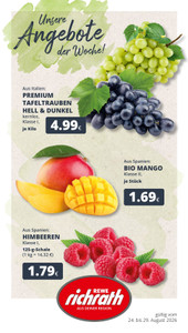 REWE Prospekt - Angebote ab 24.08.