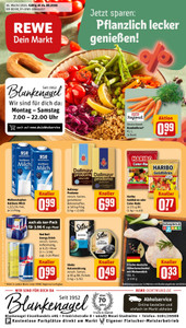REWE Prospekt - Angebote ab 24.08.