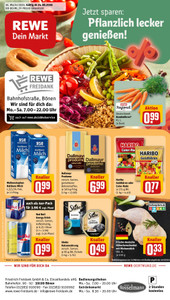 REWE Prospekt - Angebote ab 24.08.
