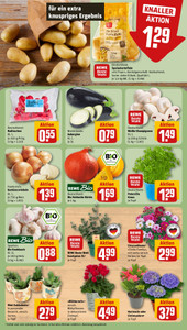 REWE Prospekt - Angebote ab 24.08.