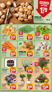 REWE Prospekt - Angebote ab 31.08.