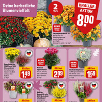 REWE Prospekt Seite 5