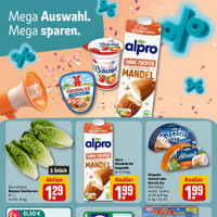 REWE Prospekt - Käse