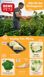 REWE Prospekt - Angebote ab 28.09.