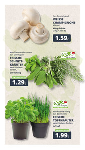 REWE Prospekt - Angebote ab 28.09.