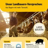 REWE Prospekt Seite 2
