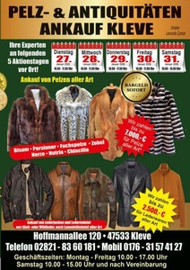 Die Steinreiniger Prospekt - Goman, Leonardo