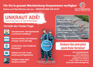 Die Steinreiniger Prospekt - Angebote ab 03.04.