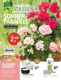 Gartencenter Stassen Prospekt - Sommerparadies